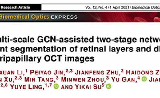 最新研究 | 这个“先验知识”，可提升视神经乳头周围视网膜OCT图像的分割效果