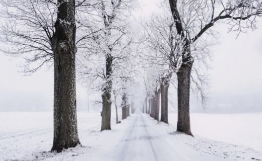 眼防月读 | 贾平凹：《冬景》