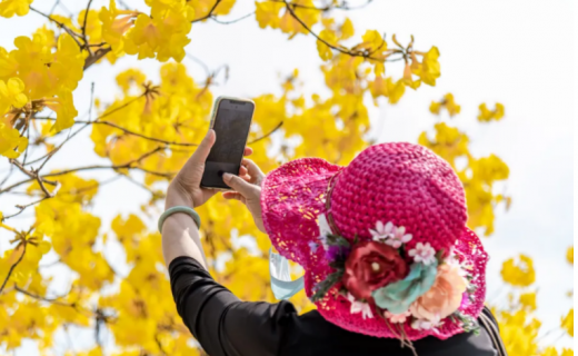 上海静安：五一赏花怕“红眼”？药师教你选对眼药水！