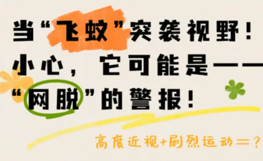 沪小康：当“飞蚊”突袭视野，可能是“网脱”的警报！