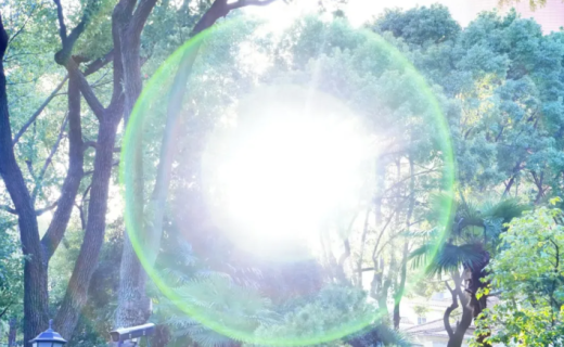 一年一画卷 | 我们的2025年度照片