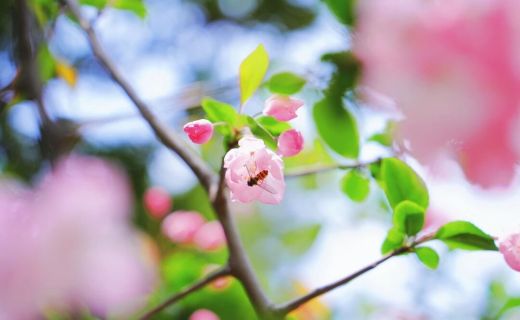 眼防四季 | 我们在眼防一起 拍！春！天！